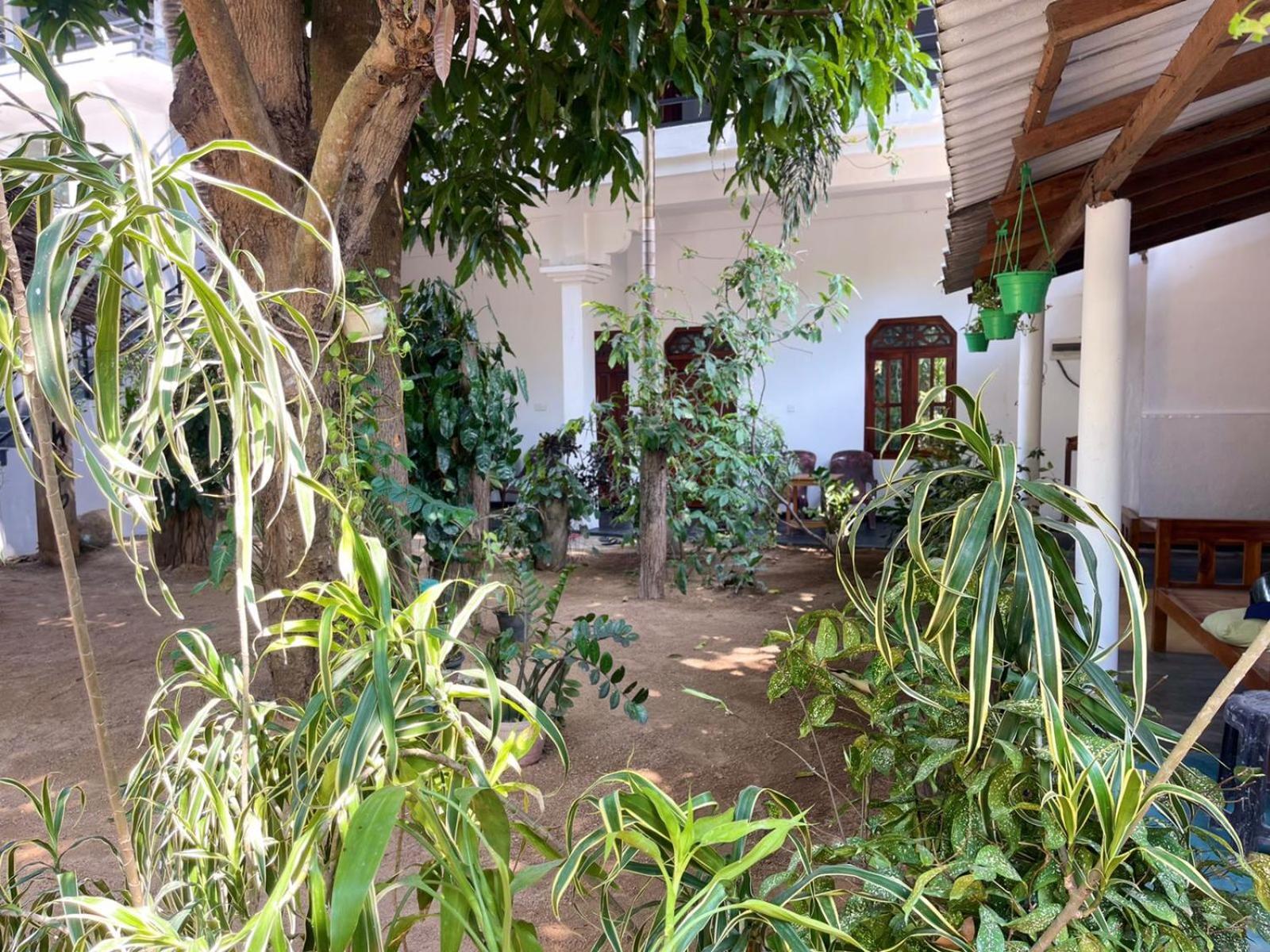 Arugambay Village 阿鲁甘湾 外观 照片