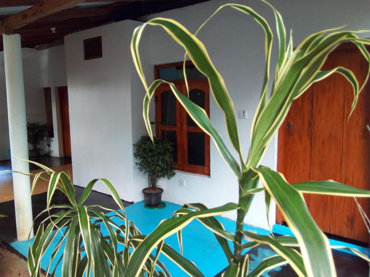 Arugambay Village 阿鲁甘湾 外观 照片